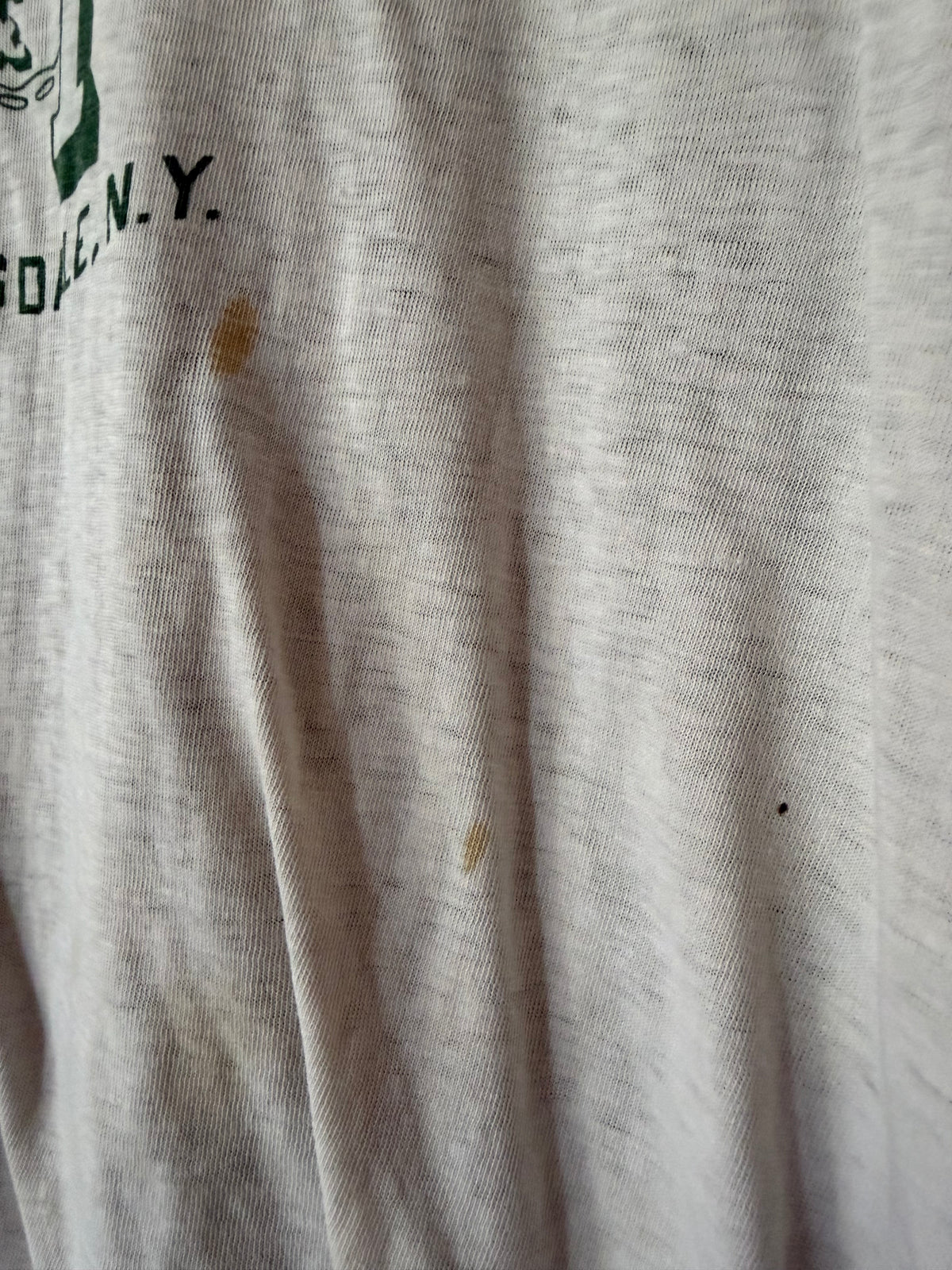 70's Champion Farmingdale State University P.E. Shirt