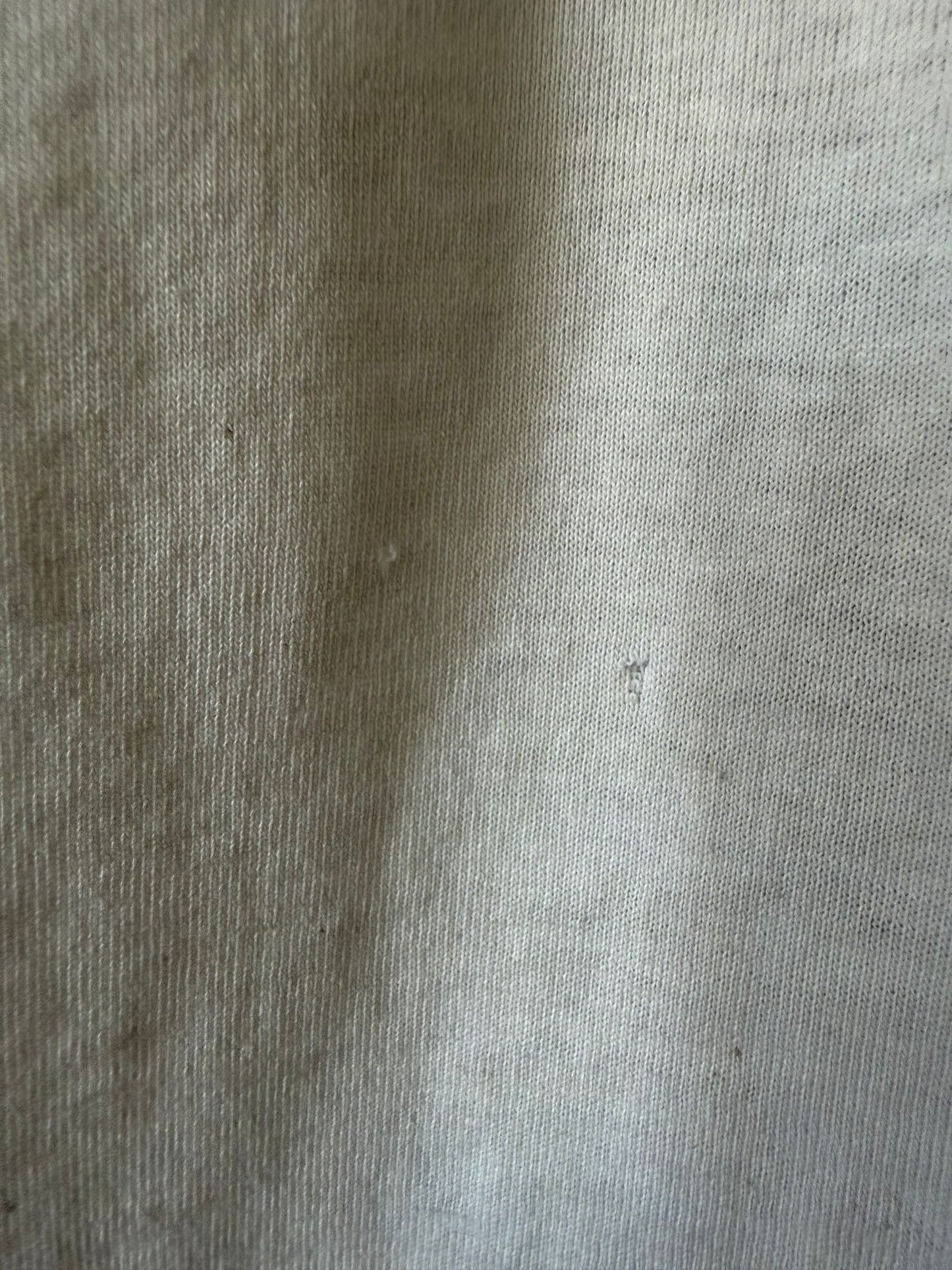 90's Fantasia Couples Only Poconos Resort Shirt