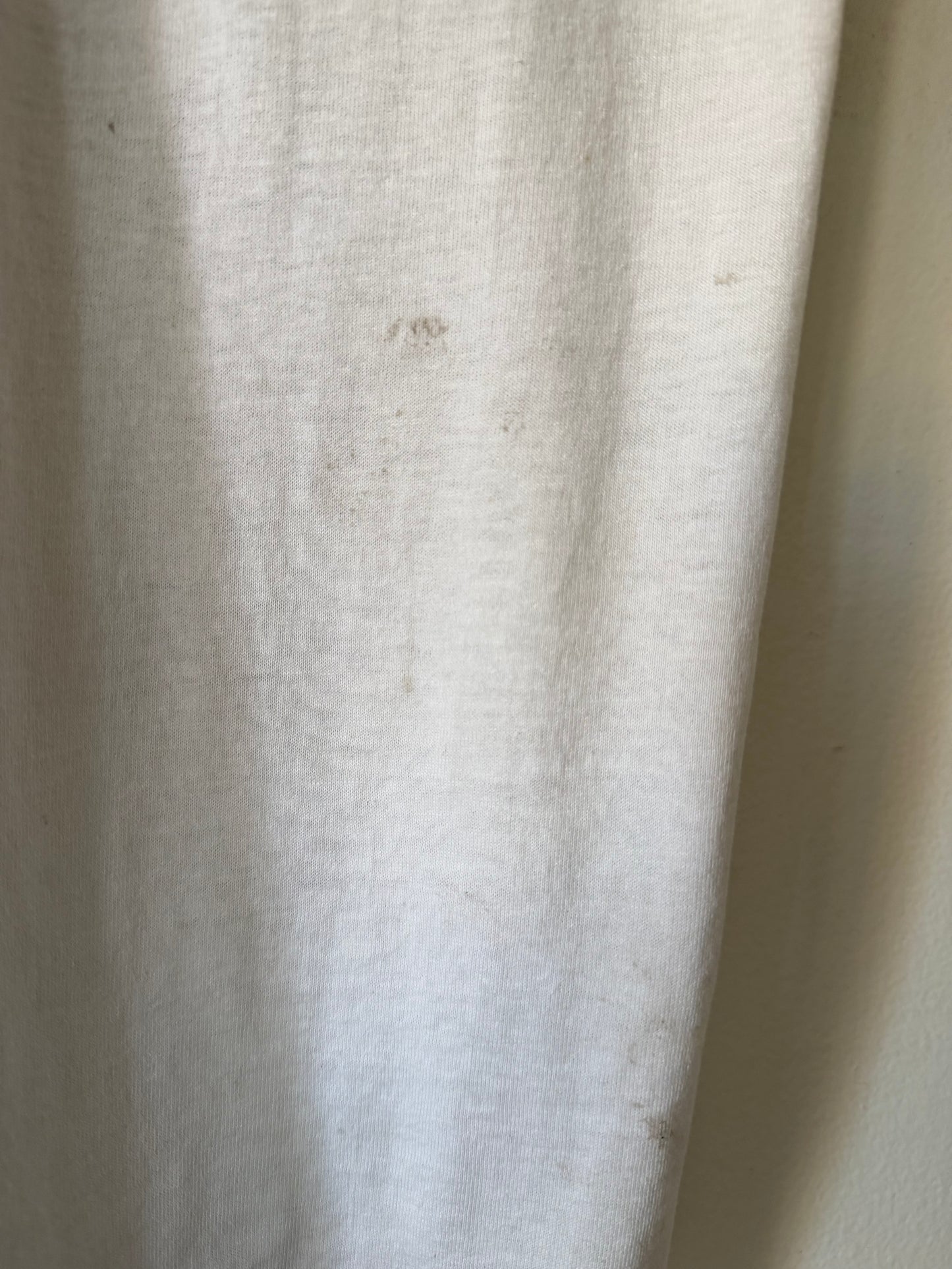 90's Fantasia Couples Only Poconos Resort Shirt