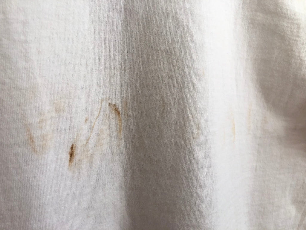 90's National Peace Corps Association Conference Shirt